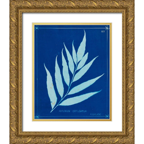 Cyanotype Ferns VII Gold Ornate Wood Framed Art Print with Double Matting by Unknown
