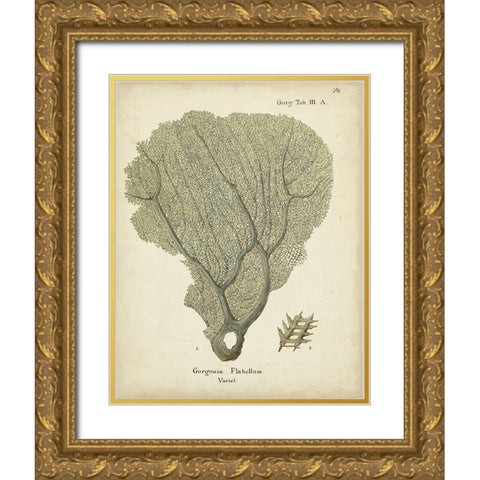 Ecru Coral IV Gold Ornate Wood Framed Art Print with Double Matting by Esper, Johann