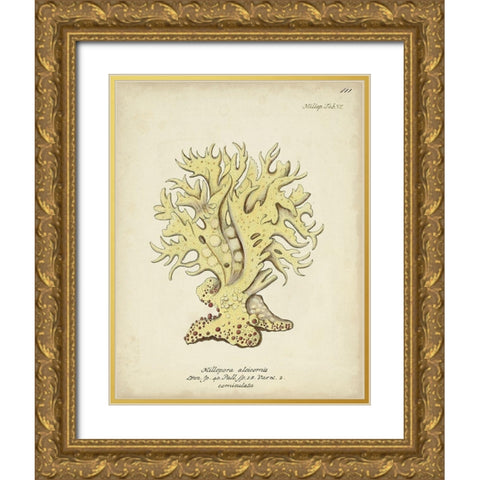 Ecru Coral IX Gold Ornate Wood Framed Art Print with Double Matting by Esper, Johann