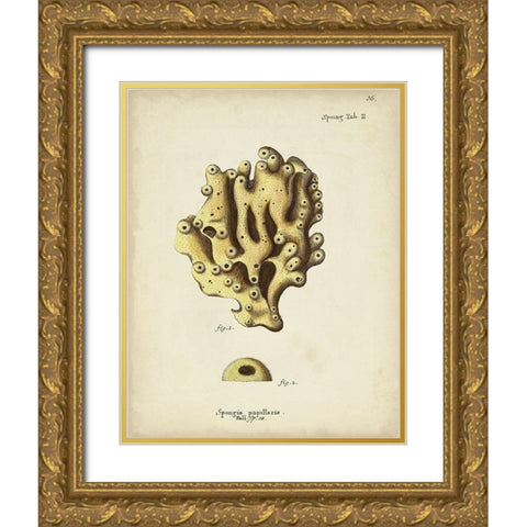 Ecru Coral X Gold Ornate Wood Framed Art Print with Double Matting by Esper, Johann