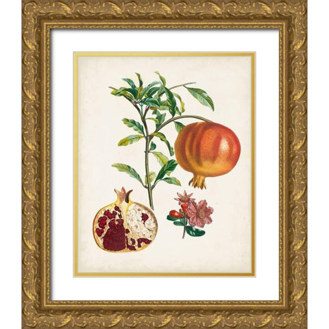 Grenadier a fruit doux Gold Ornate Wood Framed Art Print with Double Matting by Poiteau, Pierre Antoine