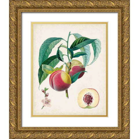 Belle Bauce Gold Ornate Wood Framed Art Print with Double Matting by Poiteau, Pierre Antoine