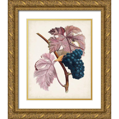 Raisin de Ceinlurier Gold Ornate Wood Framed Art Print with Double Matting by Poiteau, Pierre Antoine