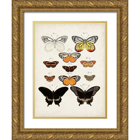 Vintage Butterflies III Gold Ornate Wood Framed Art Print with Double Matting by Vision Studio