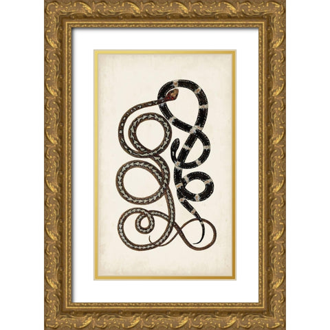 Antique Snakes II Gold Ornate Wood Framed Art Print with Double Matting by Vision Studio