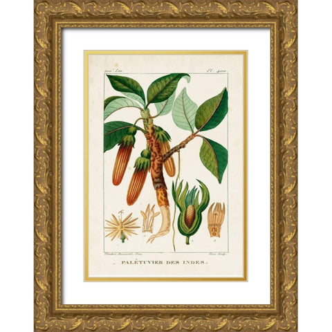 Turpin Foliage and Fruit I Gold Ornate Wood Framed Art Print with Double Matting by Turpin