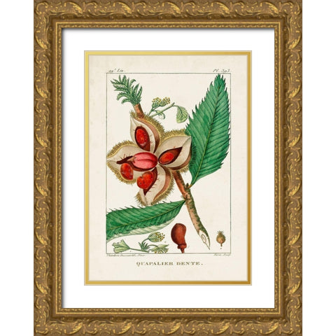 Turpin Foliage and Fruit II Gold Ornate Wood Framed Art Print with Double Matting by Turpin