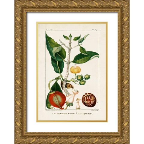 Turpin Foliage and Fruit III Gold Ornate Wood Framed Art Print with Double Matting by Turpin