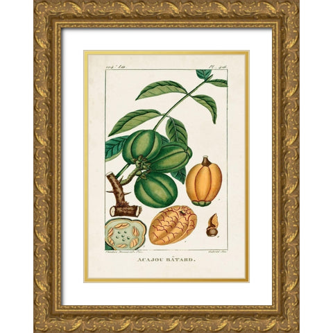 Turpin Foliage and Fruit IV Gold Ornate Wood Framed Art Print with Double Matting by Turpin