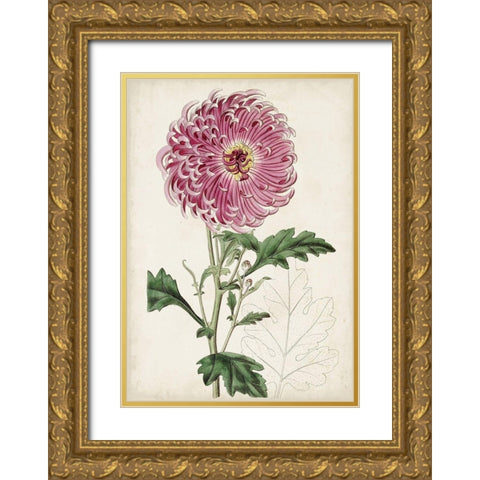 Garden Gems I Gold Ornate Wood Framed Art Print with Double Matting by Curtis