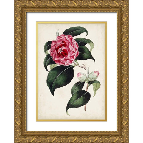 Garden Gems II Gold Ornate Wood Framed Art Print with Double Matting by Curtis
