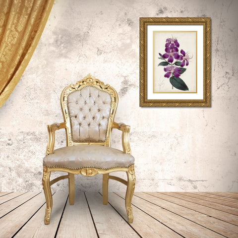 Garden Gems IV Gold Ornate Wood Framed Art Print with Double Matting by Curtis