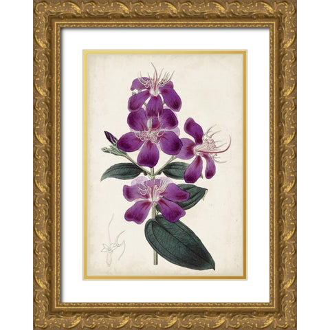 Garden Gems IV Gold Ornate Wood Framed Art Print with Double Matting by Curtis