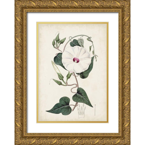 Garden Gems V Gold Ornate Wood Framed Art Print with Double Matting by Curtis