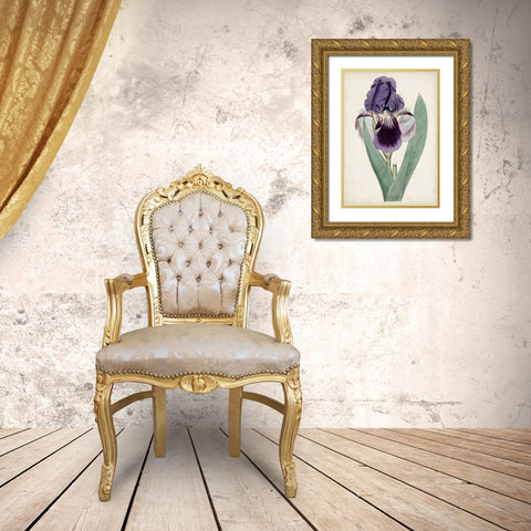 Garden Gems VI Gold Ornate Wood Framed Art Print with Double Matting by Curtis