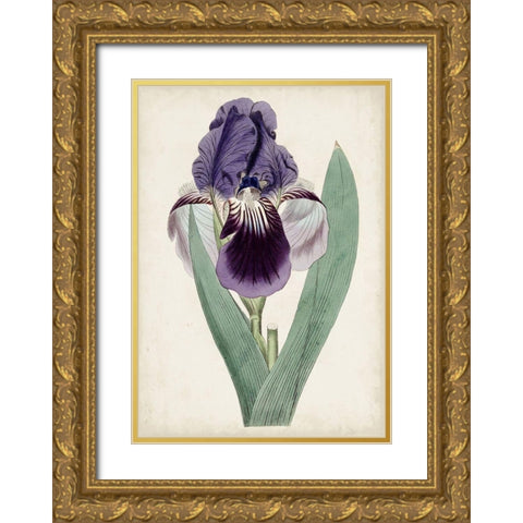 Garden Gems VI Gold Ornate Wood Framed Art Print with Double Matting by Curtis
