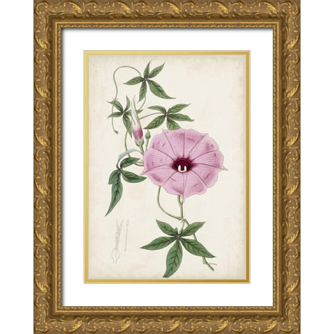 Garden Gems IX Gold Ornate Wood Framed Art Print with Double Matting by Curtis