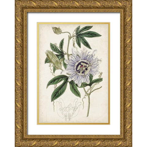 Garden Gems XI Gold Ornate Wood Framed Art Print with Double Matting by Curtis