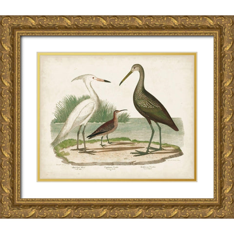 Waterbird Trio I Gold Ornate Wood Framed Art Print with Double Matting by Wilson, Alexander
