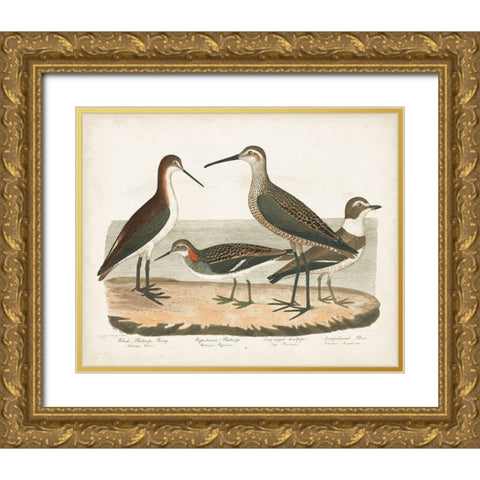 Waterbird Trio II Gold Ornate Wood Framed Art Print with Double Matting by Wilson, Alexander