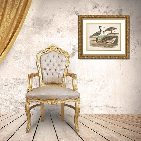 Waterbird Trio III Gold Ornate Wood Framed Art Print with Double Matting by Wilson, Alexander