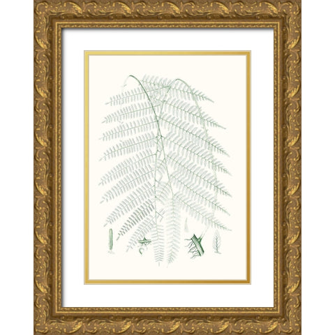 Verdure Ferns I Gold Ornate Wood Framed Art Print with Double Matting by Vision Studio