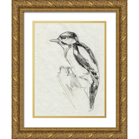 Woodpecker Sketch I Gold Ornate Wood Framed Art Print with Double Matting by Parker, Jennifer Paxton