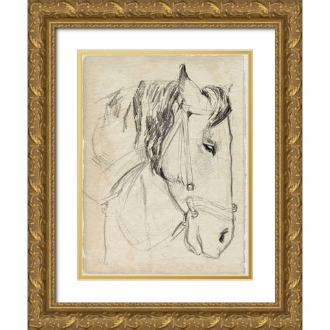 Horse in Bridle Sketch I Gold Ornate Wood Framed Art Print with Double Matting by Parker, Jennifer Paxton