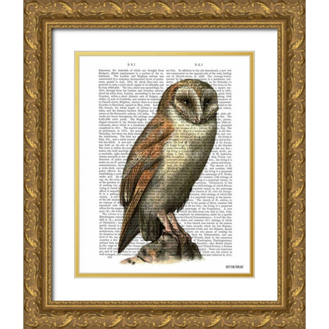 Barn Owl Gold Ornate Wood Framed Art Print with Double Matting by Fab Funky