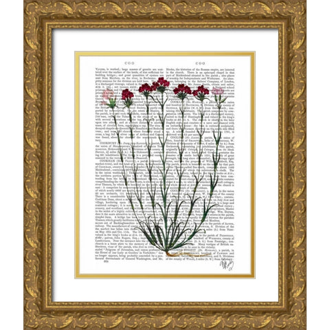 Italian Carnation 4 Gold Ornate Wood Framed Art Print with Double Matting by Fab Funky