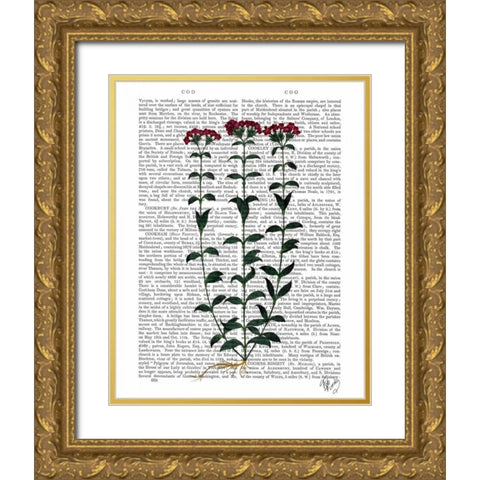 Italian Carnation 6 Gold Ornate Wood Framed Art Print with Double Matting by Fab Funky