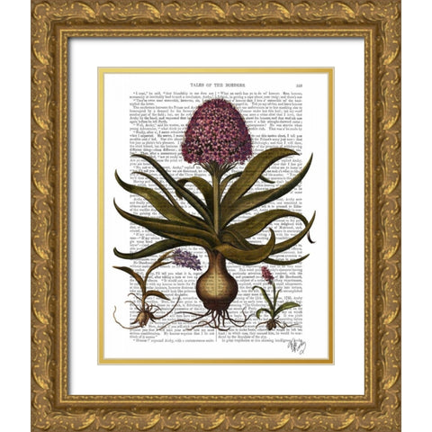 Vintage Hyacinth Gold Ornate Wood Framed Art Print with Double Matting by Fab Funky