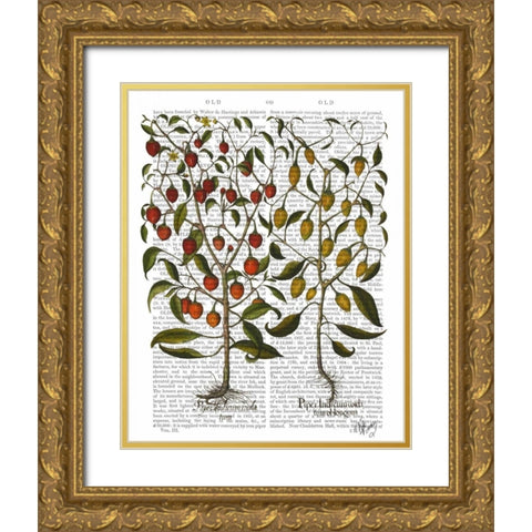Peppers 1 Gold Ornate Wood Framed Art Print with Double Matting by Fab Funky