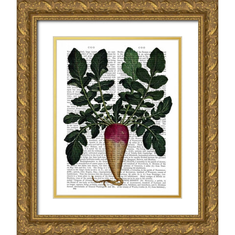 Turnip Gold Ornate Wood Framed Art Print with Double Matting by Fab Funky