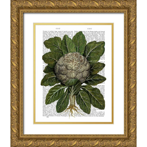 Cauliflower Gold Ornate Wood Framed Art Print with Double Matting by Fab Funky