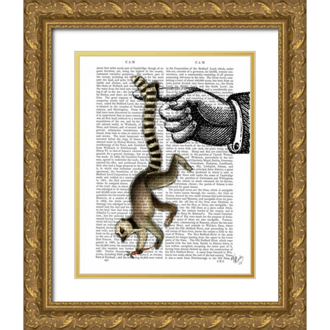 Ring Tailed Lemur on Finger Gold Ornate Wood Framed Art Print with Double Matting by Fab Funky