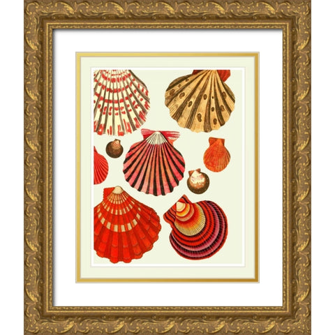 Red and Cream Clam Shells Gold Ornate Wood Framed Art Print with Double Matting by Fab Funky