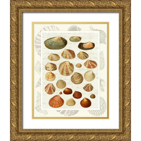 Shells on Vintage Script Gold Ornate Wood Framed Art Print with Double Matting by Fab Funky