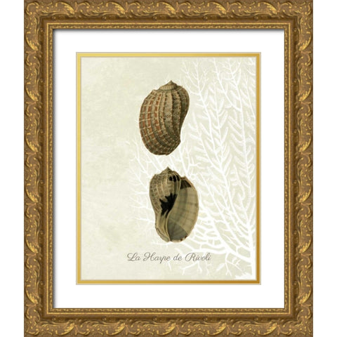 French Shell Print c Gold Ornate Wood Framed Art Print with Double Matting by Fab Funky