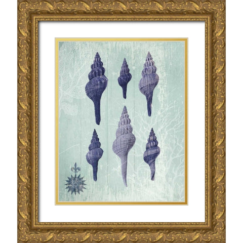Seashell Collection 2 c Gold Ornate Wood Framed Art Print with Double Matting by Fab Funky