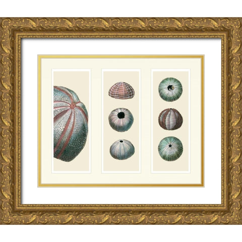 Sea Urchins on 3 Panels Gold Ornate Wood Framed Art Print with Double Matting by Fab Funky