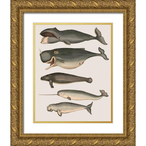 Five Vintage Whales Gold Ornate Wood Framed Art Print with Double Matting by Fab Funky