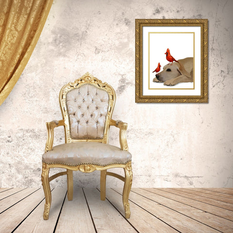 Labrador with Red Birds Gold Ornate Wood Framed Art Print with Double Matting by Fab Funky