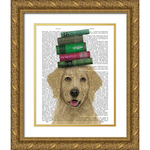 Golden Retriever and Books Gold Ornate Wood Framed Art Print with Double Matting by Fab Funky