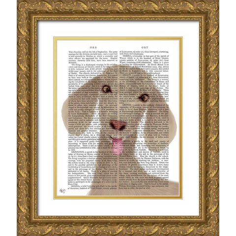 Funny Farm Goat 1 Book Print Gold Ornate Wood Framed Art Print with Double Matting by Fab Funky