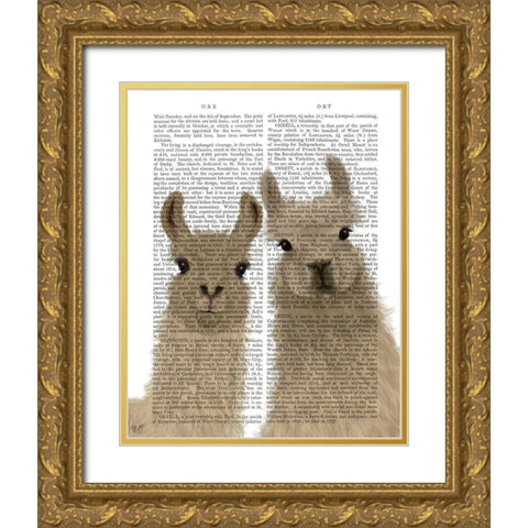 Llama Duo, Looking at You Book Print Gold Ornate Wood Framed Art Print with Double Matting by Fab Funky