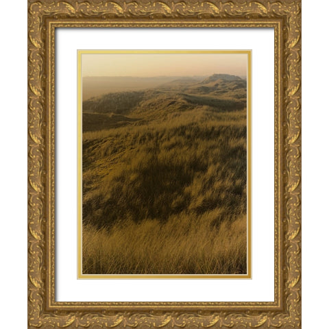 Golden Fog I Gold Ornate Wood Framed Art Print with Double Matting by Green, Jacob