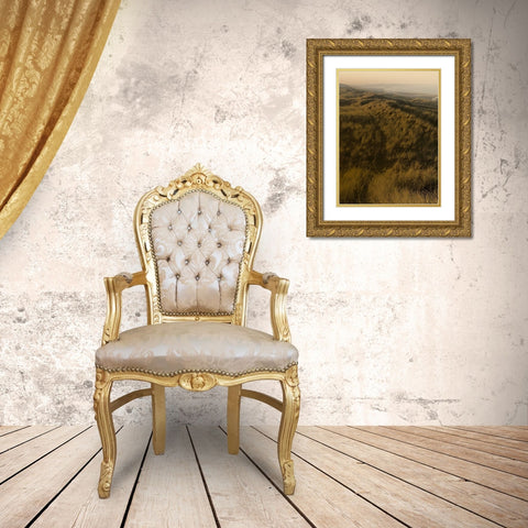 Golden Fog II Gold Ornate Wood Framed Art Print with Double Matting by Green, Jacob