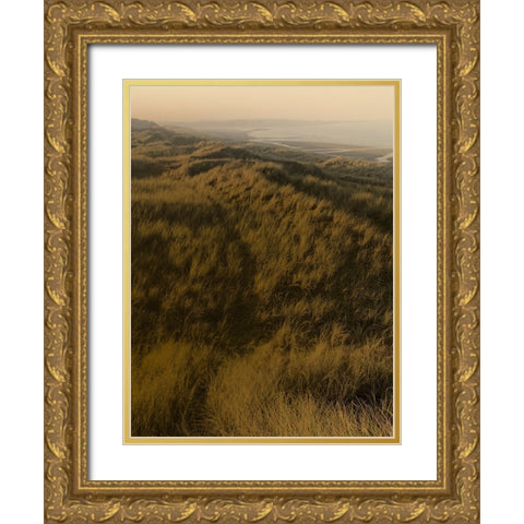 Golden Fog II Gold Ornate Wood Framed Art Print with Double Matting by Green, Jacob