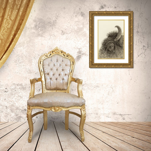 Buffalo Eye and Snow Gold Ornate Wood Framed Art Print with Double Matting by Drost, David